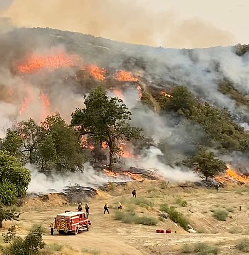 wildland fire in El Dorado
