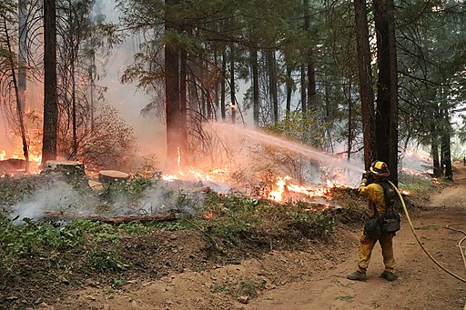 firefighter extinguishing a wildfire