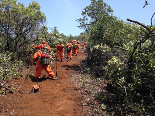 trainees hiking during firefighter training