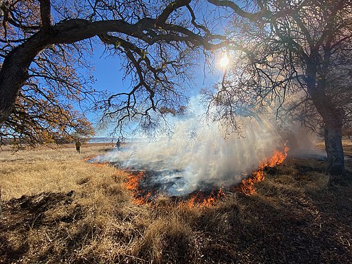 prescribed burn, firefighters start fires to fight fires