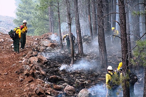 firefighters monitoring a wildfire