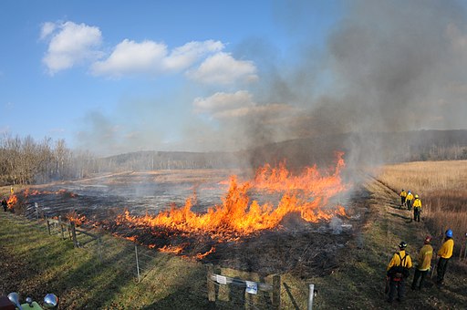 controlled burn at Portsmouth