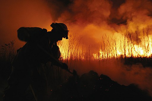 Firefighter digging a trench during a forest fire